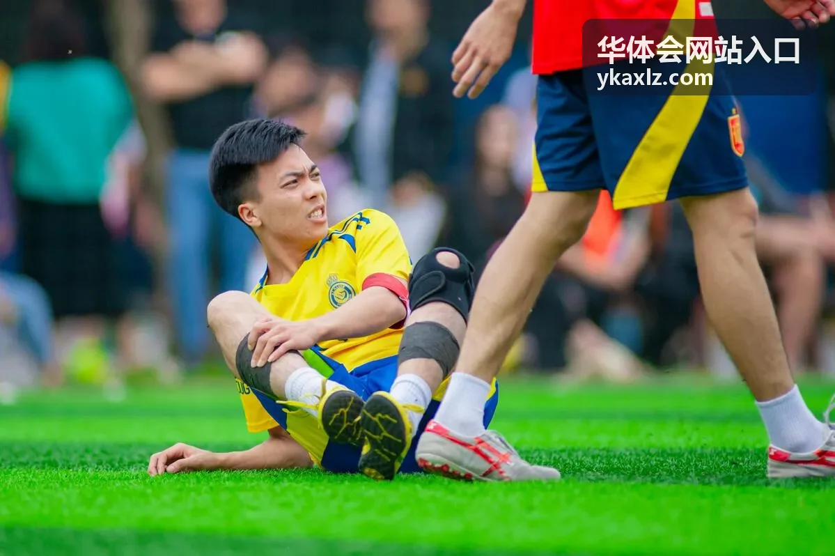 华体会网站入口登录区域与验证步骤的界面示意