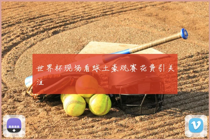 世界杯现场看球土豪观赛花费引关注